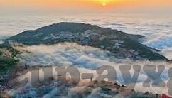 日乙足球比分-日乙足球比分，赛场风云变幻，数据背后的激情与策略
